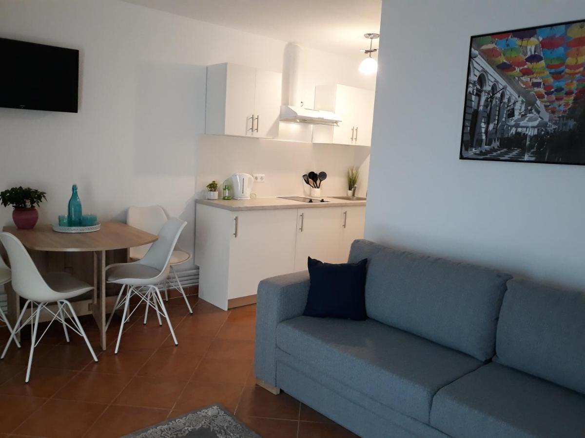 Cassa Blue Apartment Timişoara Exterior foto